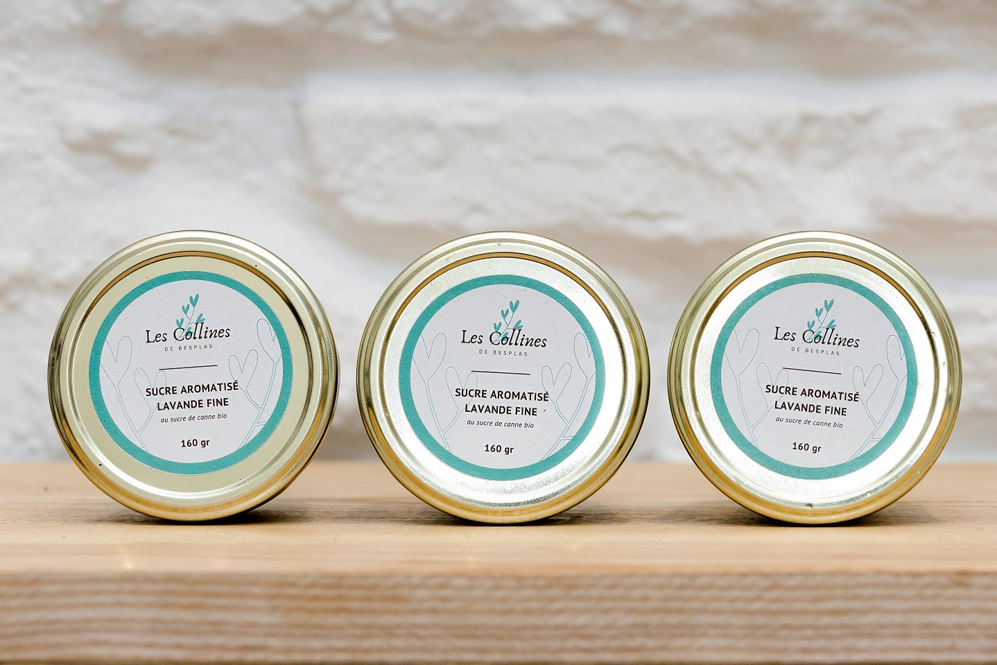 4Z8A3618-Besplas 2025