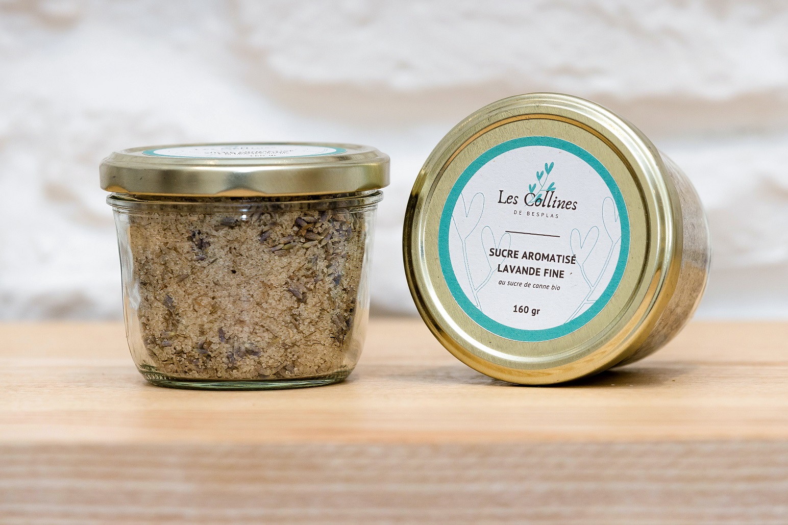 4Z8A3622-Besplas 2025