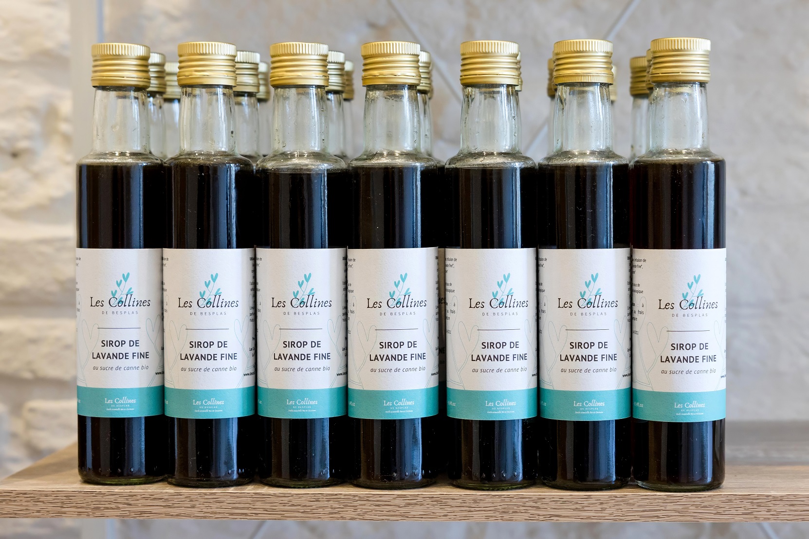 502A5491-Besplas 2025