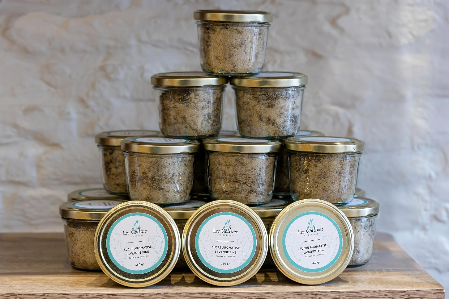 502A5494-Besplas 2025